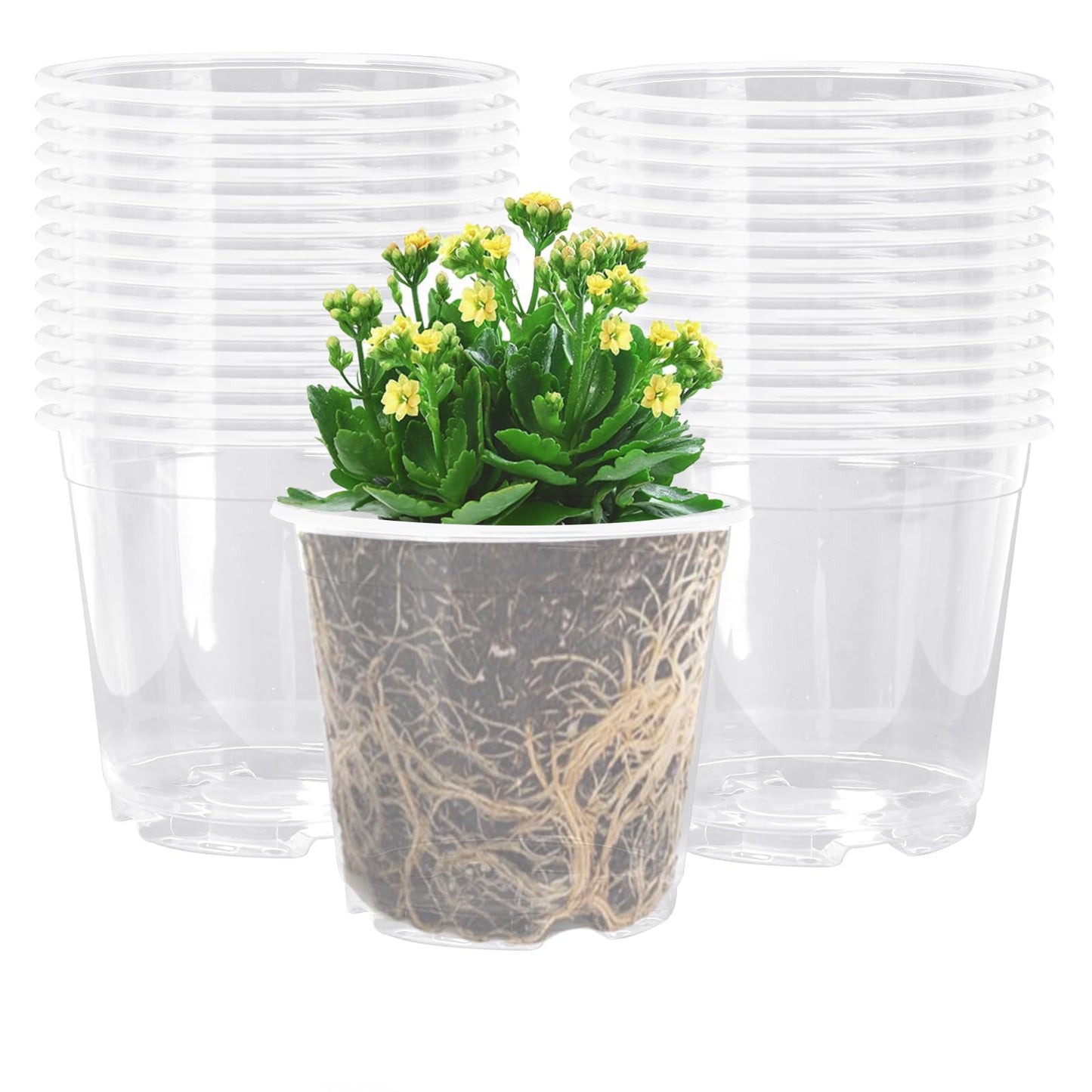 Clear Nursery Pots - 5 Inch Transparent Seedling Pots for Plants - 30 Pcs with Drainage Holes - Indoor/Outdoor Flower Pots - Seedlings, Succulents, Vegetables, Herbs