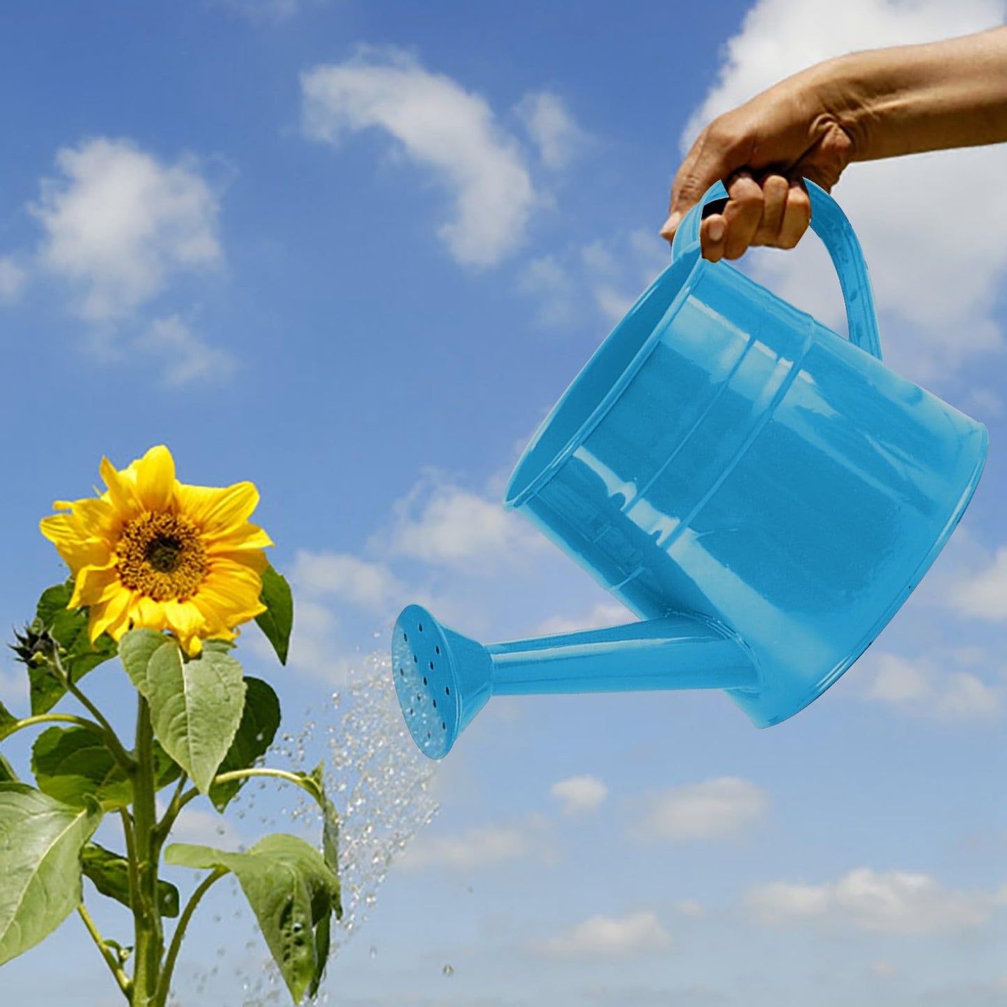 Galvanized Watering Can 1L,Tinplate Watering Kettle with Removable Spout,Garden Decorations,Gardening Tools for Outdoor Indoor Plants Lawn Garden (Blue)
