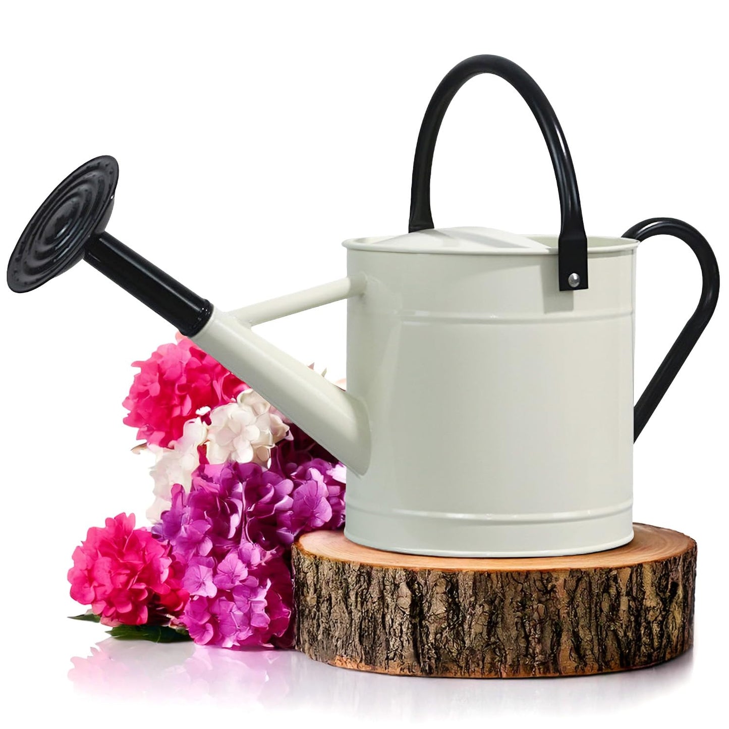Plexon Metal Watering Can Outdoor 1 Gallon, Flower Plant Gardening Garden Large Watering Can Pot, Black Galvanized Steel Handles and Removable Spray Spout, Off-White