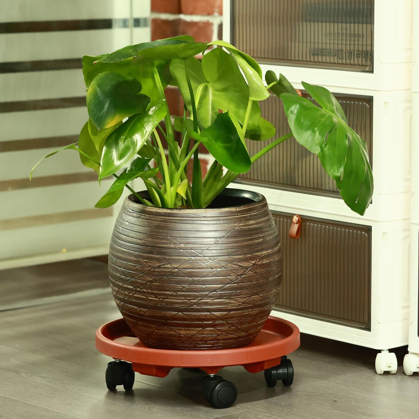 3 Packs Large Plant Caddy with Wheels 13" Rolling Plant Stands Heavy-duty Plastic Plant Roller Base Pot Movers Plant Saucer on Wheels Indoor Outdoor Plant Dolly with Casters Planter Tray Coaster
