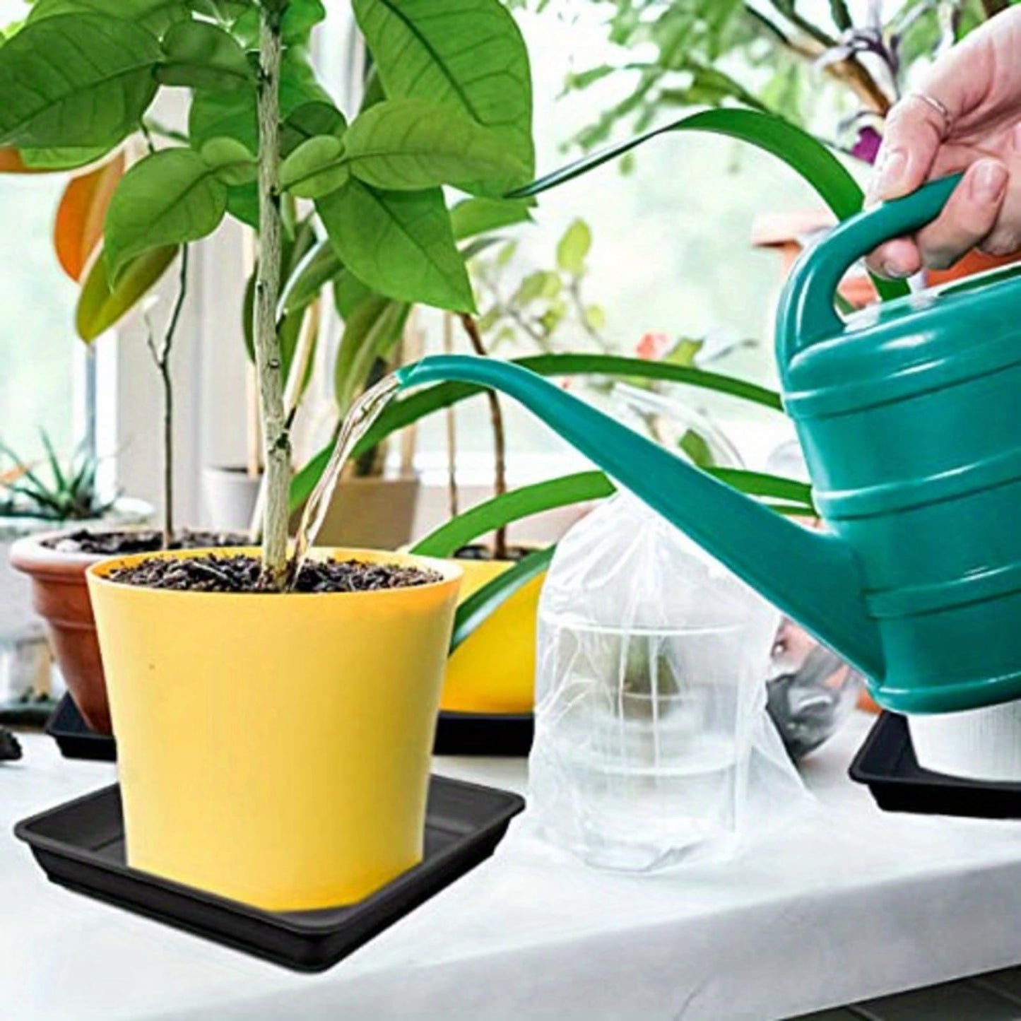 MHXWNHA 4 Pack 12 Inch Square Plant Saucer, Plant Drip Trays and Flower Pot Saucers, Plant Trays for Indoors No Holes, Plant Drainage Tray Saucers for Potted Plants (Black)