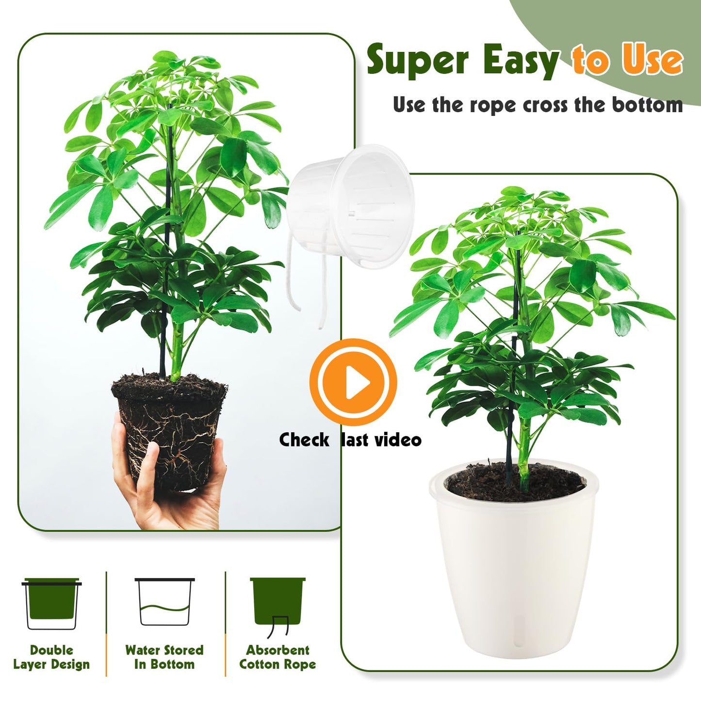 KvyusFlourish Self Watering Pots for Indoor Plants, 6-Pack 5'' Self Watering Planter with Drainage Holes, Small African Violet Pots with Water Indicator, Clear Wick Orchid Pot, White