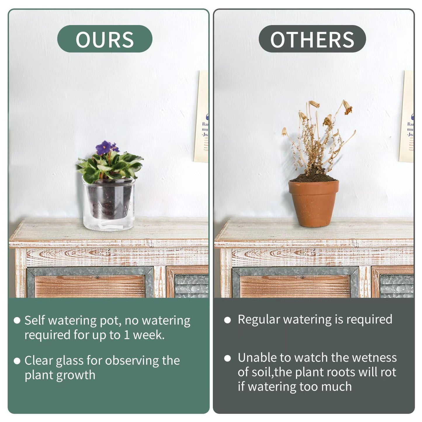 LAZUSAM 4 Inch Self Watering Pot,African Violet Pot,Bottom Watering Glass Planter for Indoor Plants and Progagation