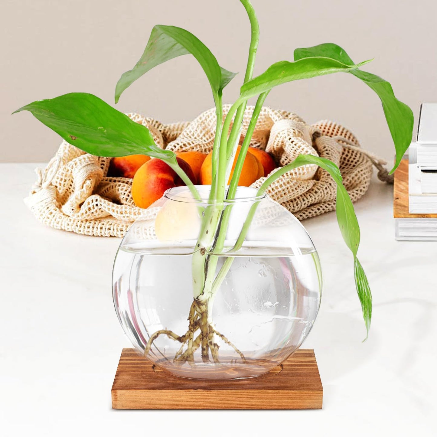 LALADEFIEE Desktop Glass Hydroponic Plant Vase with Retro Wood Base, Scindapsus Aureus Terrarium Planter for Office and Home Décor