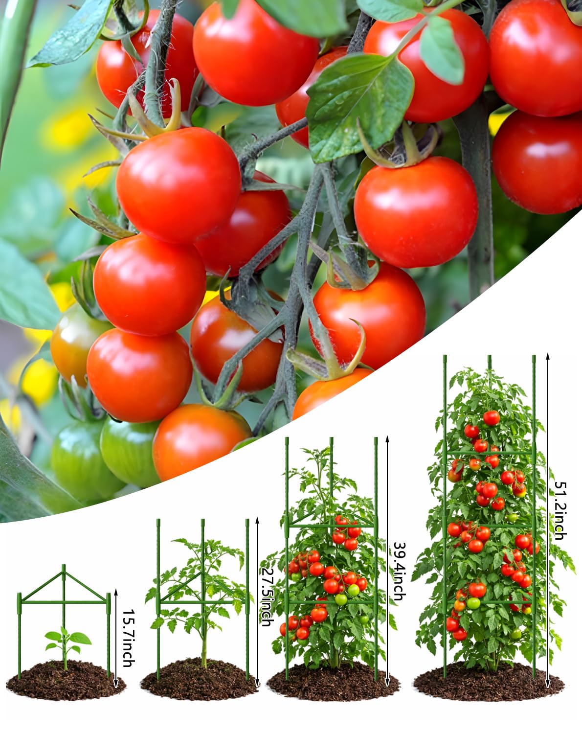 Growsun 51 inch Tomato Cage Heavy-Duty Plant Support Cucumber & Vine Vegetables – Adjustable Green Metal Garden Trellis for Climbing Plants, Indoor & Outdoor Use, 6 Pack