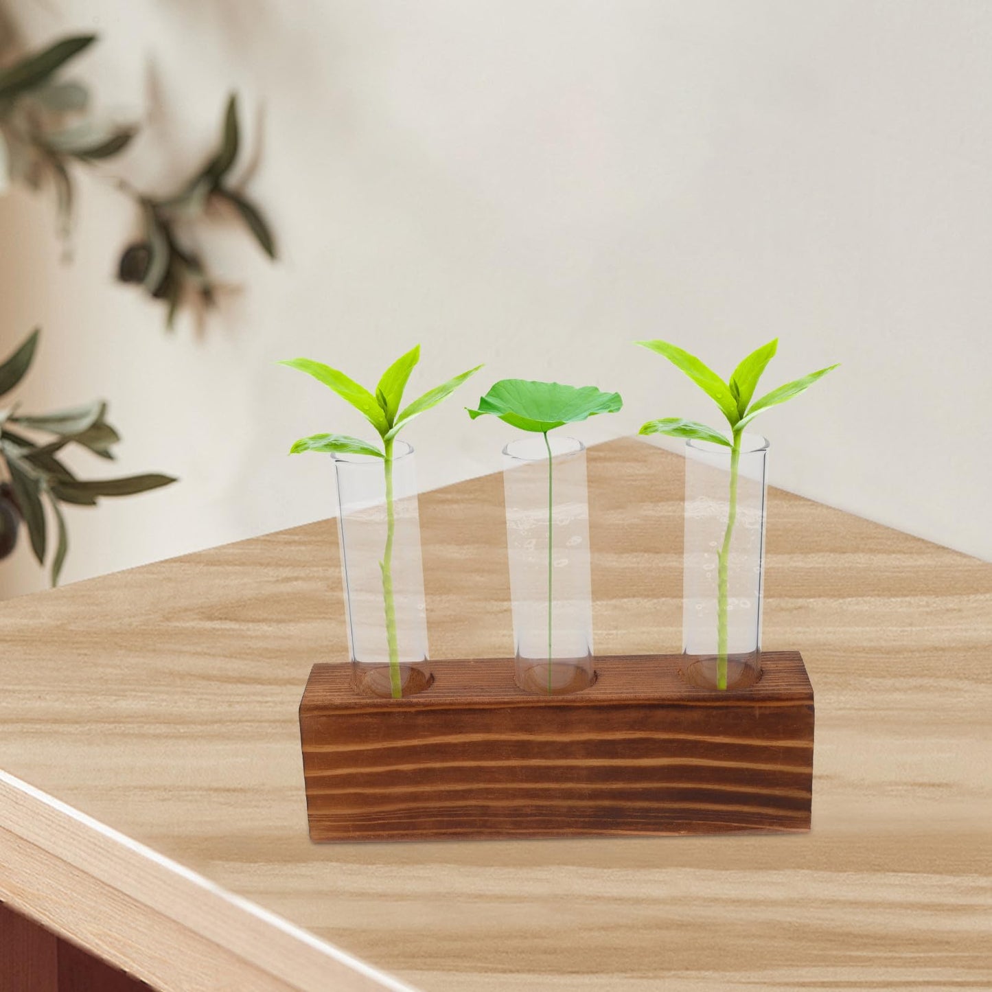 Unomor Glass Plant Propagation Station with 3-Hole Charcoal Wood Base and Test Tubes, Glass Vase for Indoor Hydroponic Plants and Desktop Terrarium Decoration