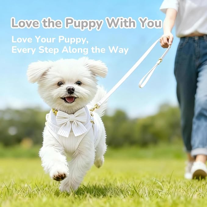 Small Dog Collar Harness and Leash Set with Bowtie, Adjustable Dog Harness Collar and Leash Set with Secure Metal Buckle, Breathable Cotton Adjustable Pet Puppy Harness, Easy Walk Harness, M(16-21")
