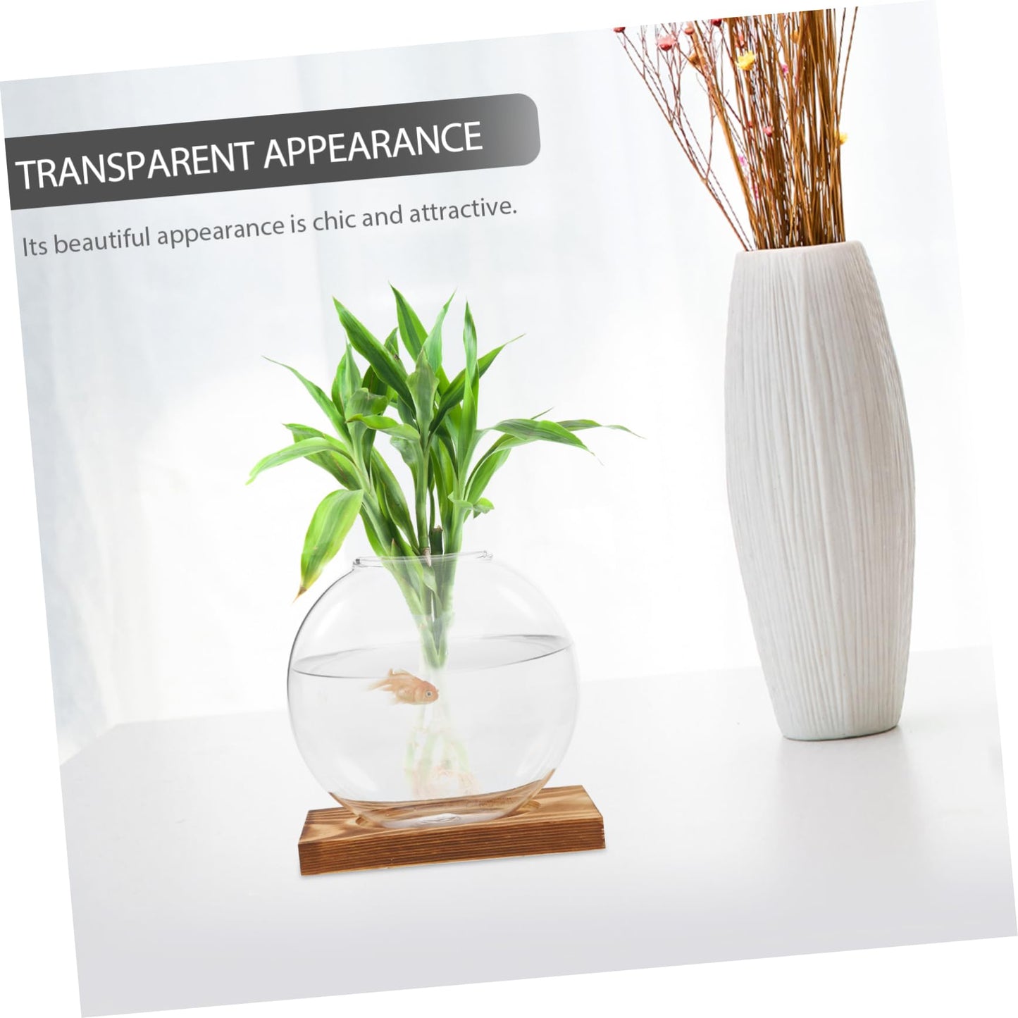 ANDRESLAD Hydroponic Vase with Wooden Base Transparent Glass Plant Propagation Station for Indoor Plants Terrarium Small Desktop Planter Root Observation Decorative Home Decor