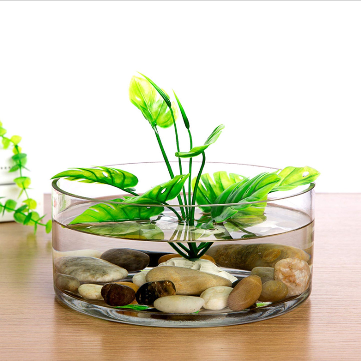 WGV Cylinder Vase, Open Width 8", Height 4", Clear Flat Pan Style Container, Planter Terrarium, Floral Centerpiece for Wedding Party Event, Home Office Decor, 1 Piece