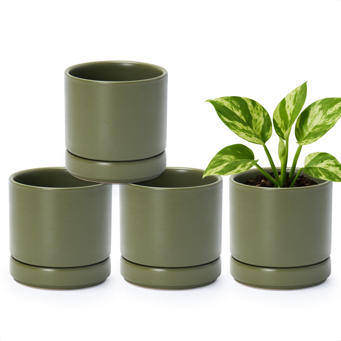 D'vine Dev Set of 4 Small Ceramic Plant Pots, 4.7 Inch Succulent Planter Pot for Plants with Drainage Hole and Saucer, Olive, 94-X-B-0