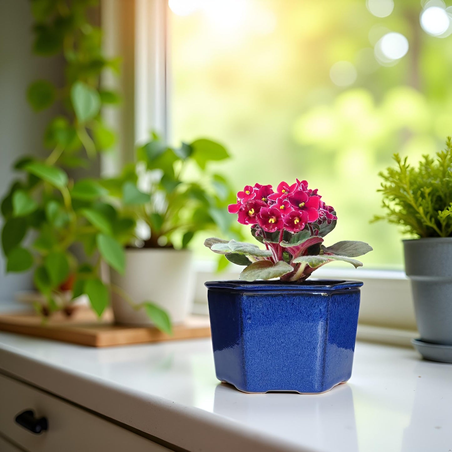 Dphagesy African Violet Pots 6 inch Hexagon Self-Watering Ceramic Violet Pots 4.50'' Opening (Blue)