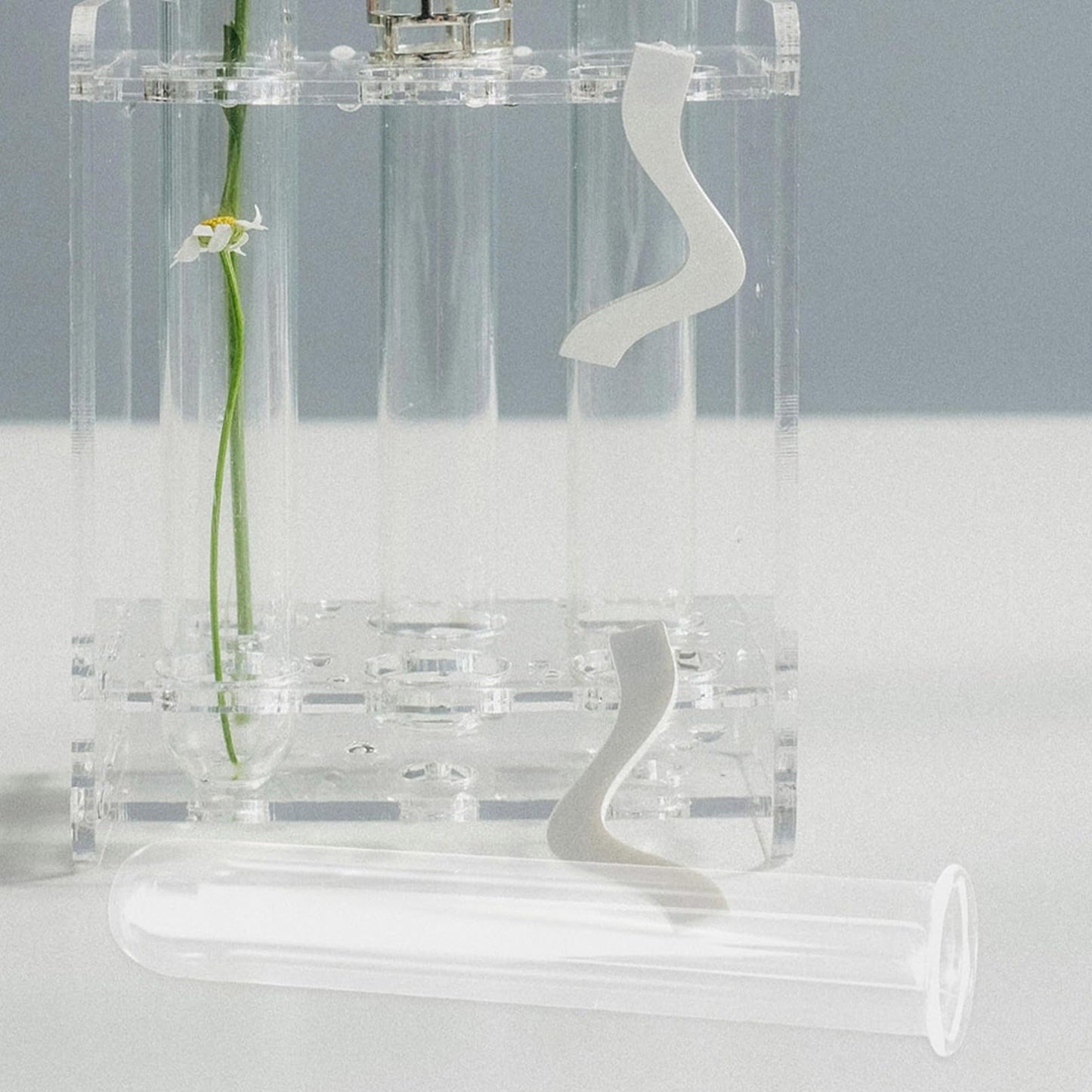 Beaupretty 5pcs Glass Hydroponic Test Tube Plant Vases for Small Terrarium Plants Floral Propagation Tubes 2.5x3x15cm Glass Containers for Indoor Garden Décor