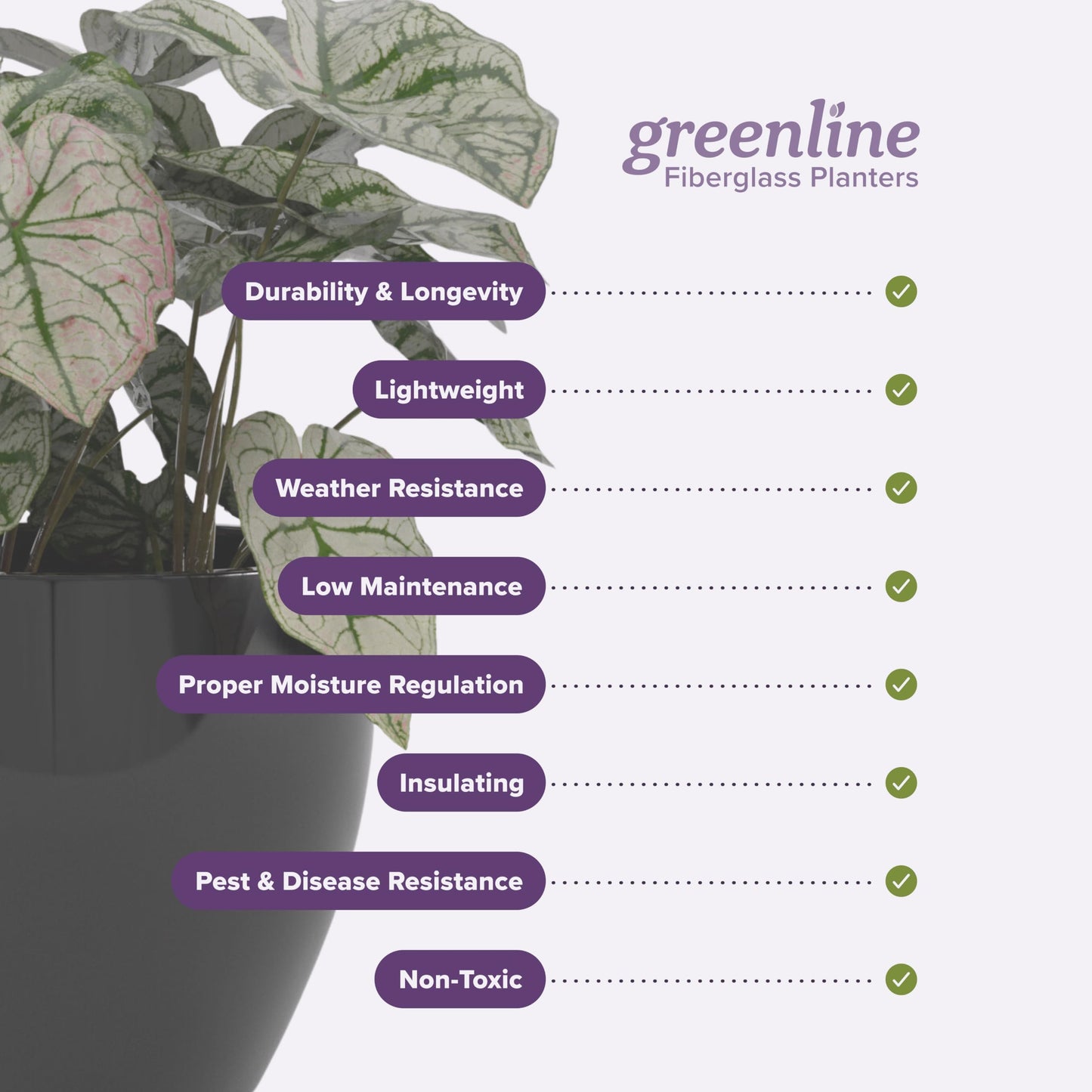 Greenline Jack Square Cube Planter - Indoor/Outdoor Large Fiberglass Lightweight Planter - 28" x 28" x 28" (Gloss Eggplant)