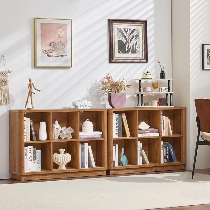 Joaxswe 6 Cube Storage Book Shelf, Floor Standing 2-Tier Wooden Bookshelf