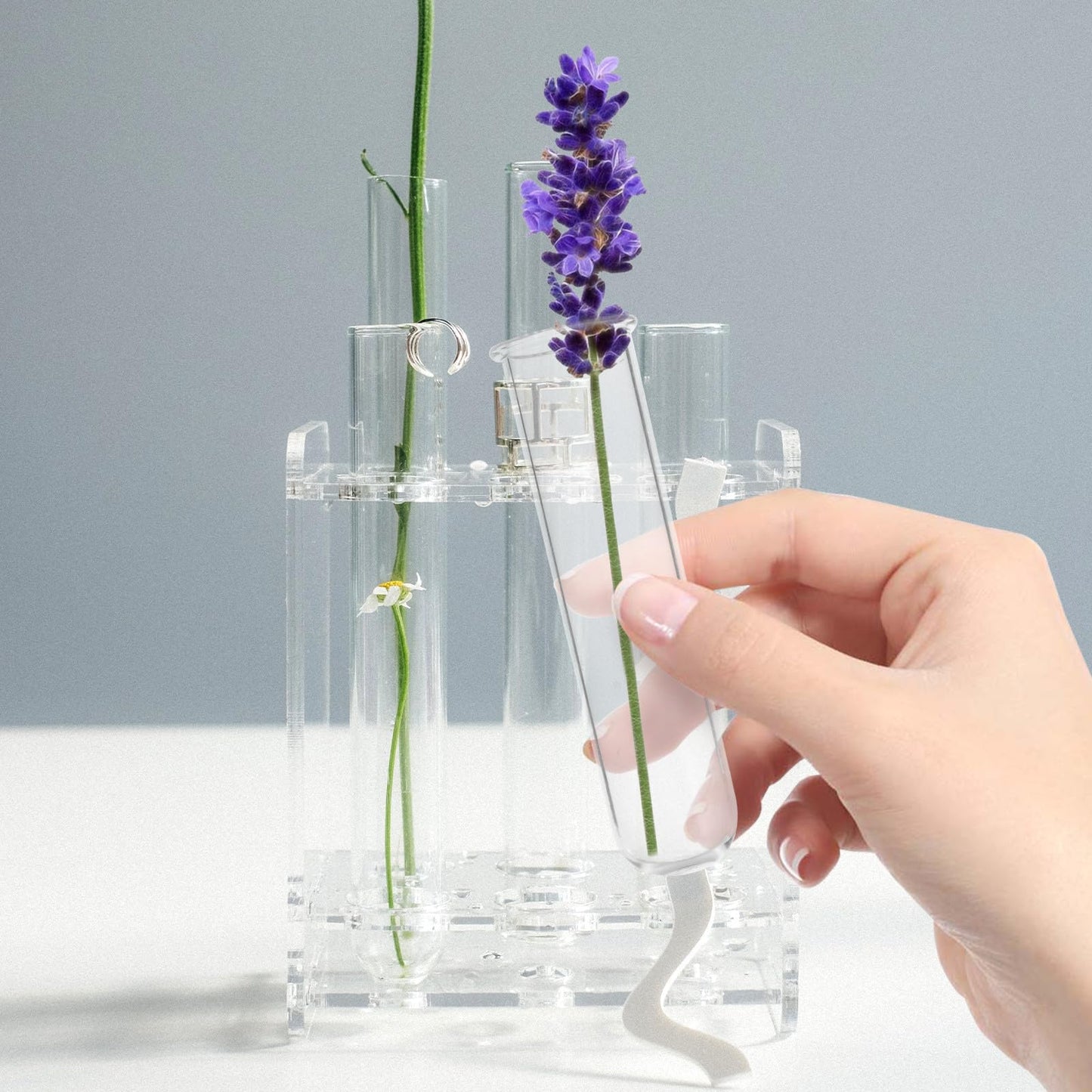 DOITOOL 5Pcs Glass Test Tube Vases 2.5X3X11Cm Hydroponic Propagation Tubes Small Plant Terrarium Vase for Home Décor and Floral Display