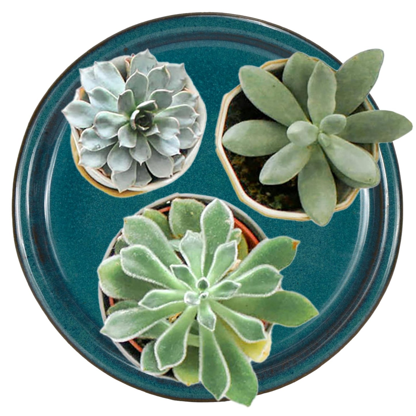 W&W Ceramic Plant Saucer - Plant Trays for Indoor Pots (Teal, 13 inches, 2 Packs)