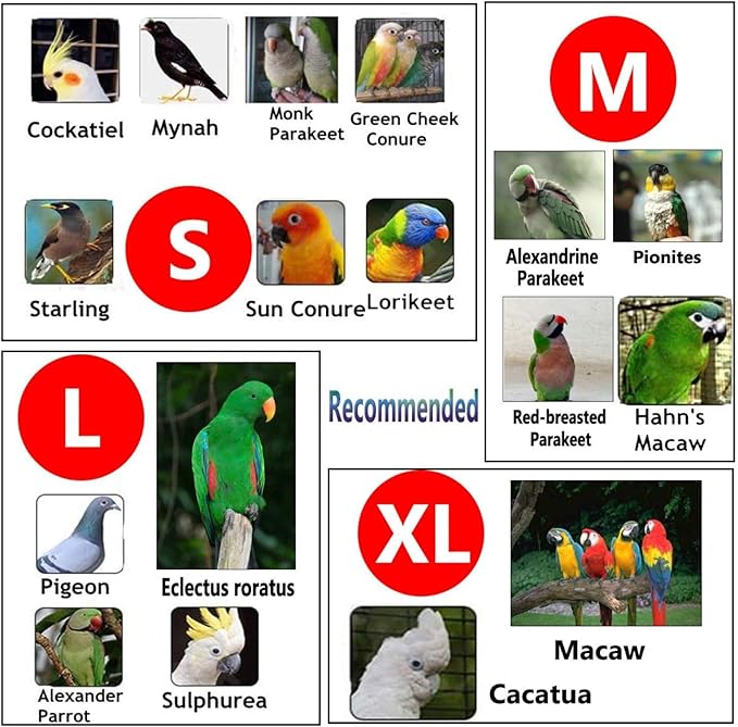QBLEEV 2 Pack Bird Diapers, Cockatiel Tuxedo Flight Suite, Reusable Parrot Nappy Clothes Costume for Wedding Party Birthday Cosplay Photo, Pigeon Pants Urine Wet Suit for Conure Macaw Budgies Parakeet