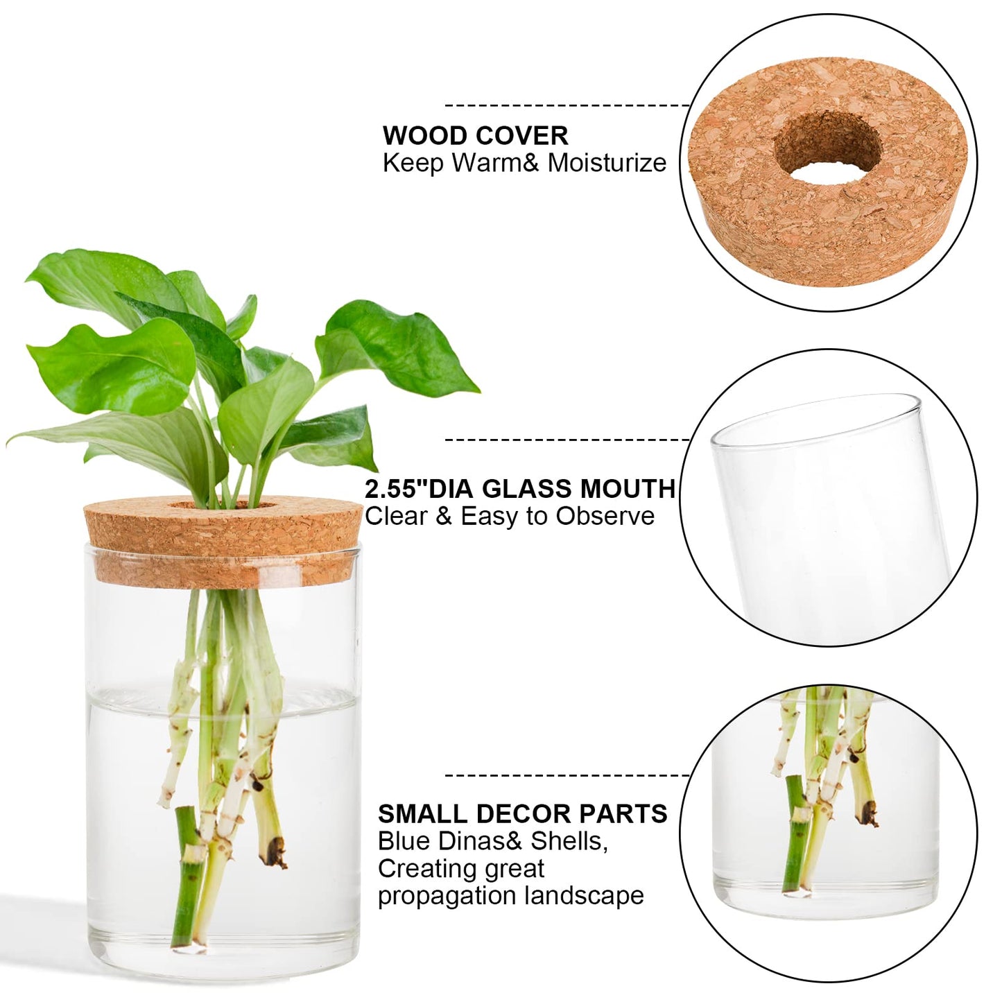 Lawei 3 Pcs Plant Terrarium Propagation Stations, Tabletop Glass Water Planting Glass Vase with Wooden Tray, Clear Jars Containers for Grow Hydroponic Plants Home Office Decoration