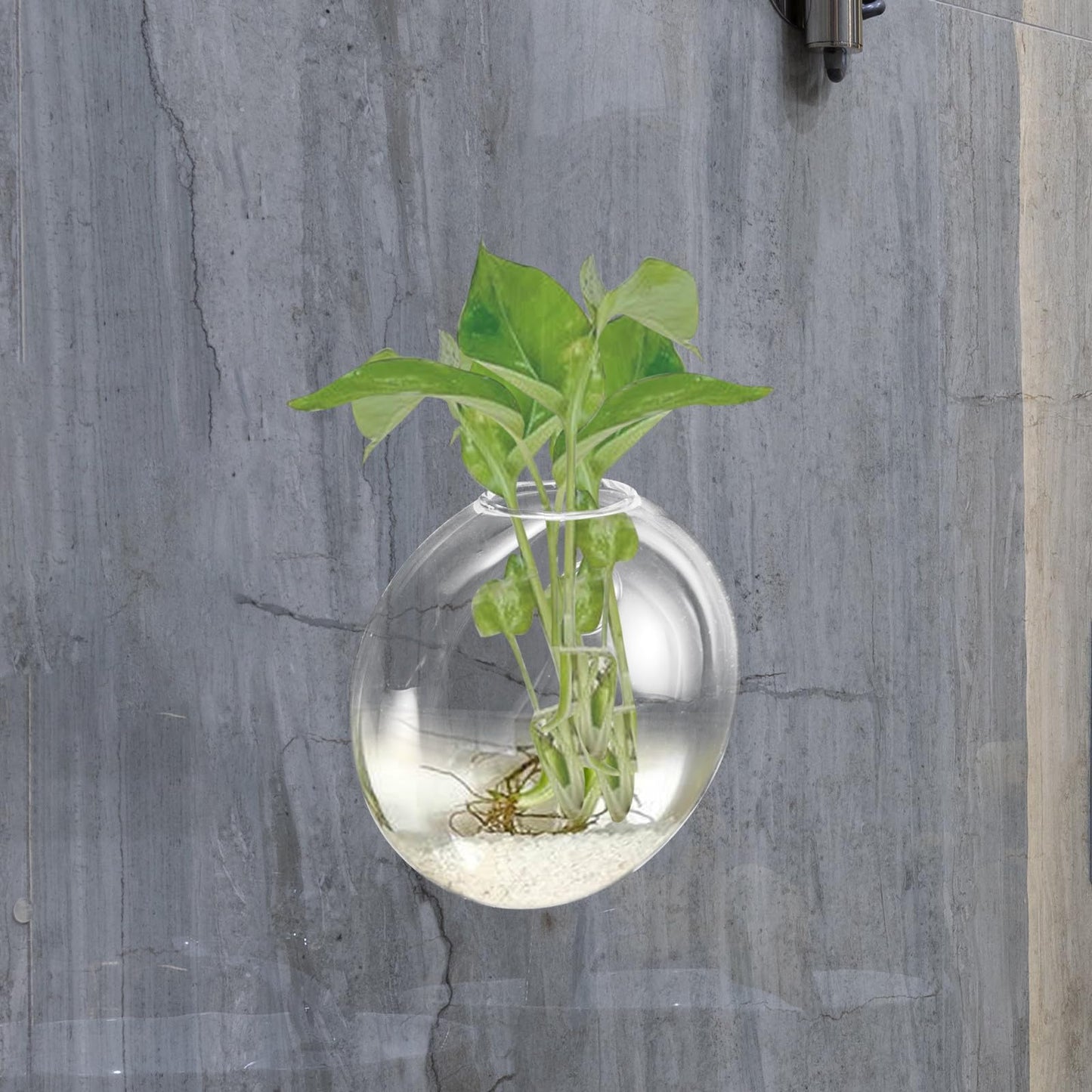 NUOBESTY Wall Mounted Hydroponic Vase Glass Planter Hanging Plant Terrarium Bottle for Indoor Home Décor Hydroponic Plants,