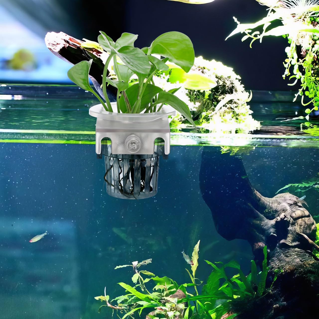 TOYANDONA 4pcs Aquarium Hanging Plant Holder Aquatic Planter Cups for Fish Tank Decoration Water Design for Aquatic Plant Cultivation