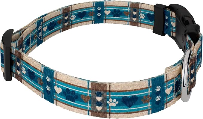Country Brook Petz - Puppy Picnic Everyday Dog Collar and Leash - Plaid and Argyle Collection Featuring Charming Designs (5/8 Inch, Small)