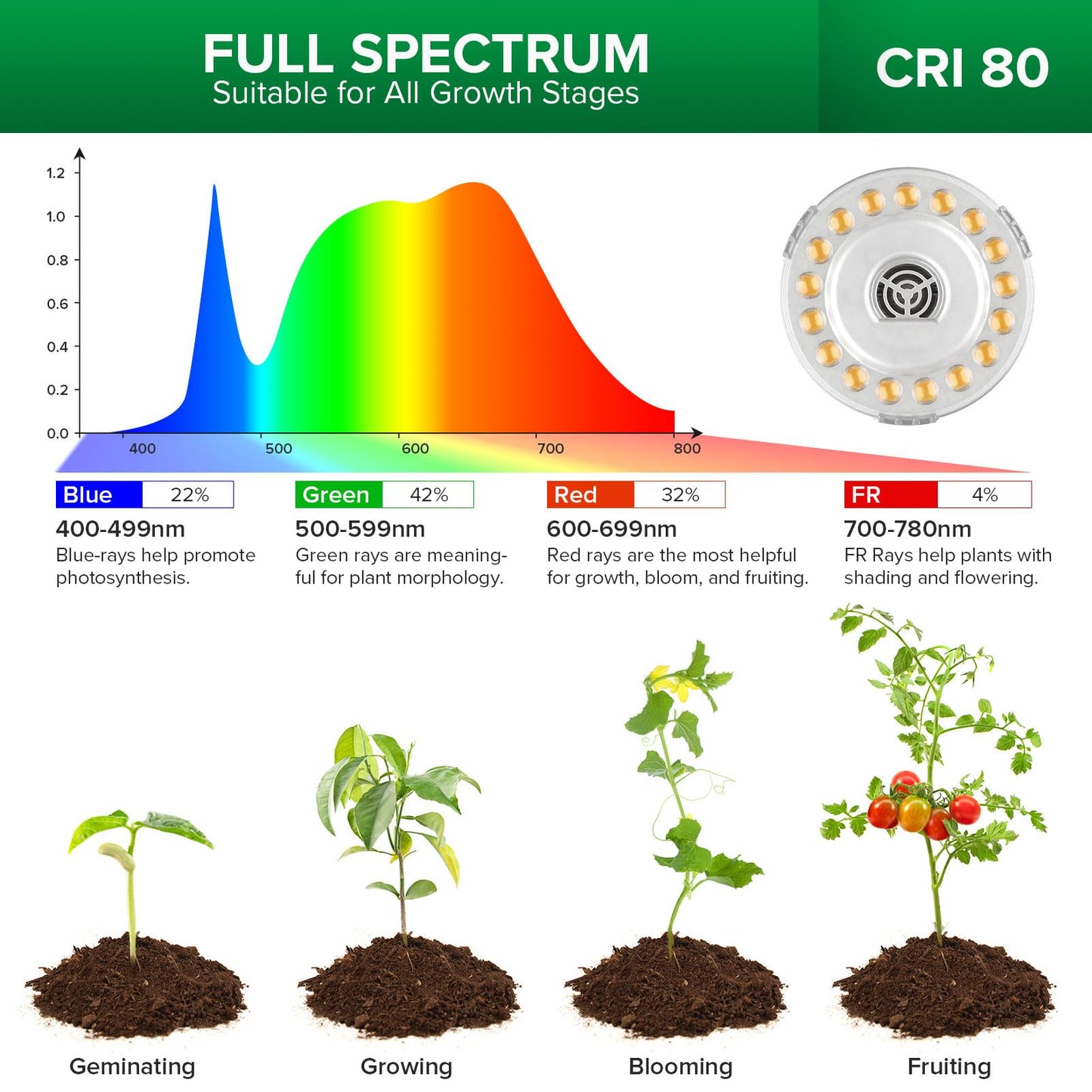 SANSI Grow Lights for Indoor Plants, 4 Head Dimmable Plant Lights for Indoor Growing, 35"-64" Adjustable Tripod LED Grow Light Lamp with Remote Control Auto On/Off Timer 4 Pack of Par20 10W Bulbs