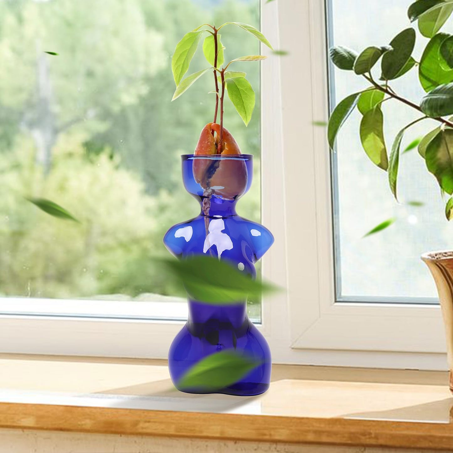 CYZglass Propagation Vases for Plants Plant Propagation Jars Unique Body Avocado Vase Glass Planter Perfect for Seed Starting Water Rooting and Home Decor Gift for Father