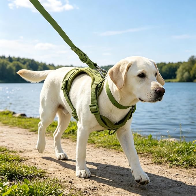 4-in-1 No Pull Dog Harness Set with Collar, Leash, Poop Bag, Adjustable, S