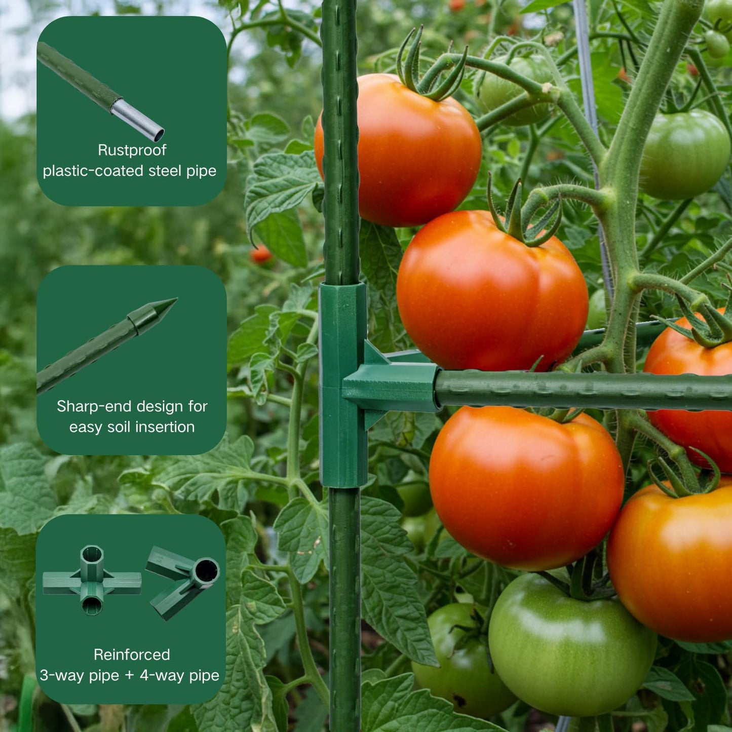 Wikdey Tomato Cages for Garden&Pots, 6 Pack 50" Plant Support Trellis for Tomatoes, Cucumbers, Beans | Heavy-Duty Steel with Rust-Proof Coating | Garden Stakes for Outdoor Indoor Plants