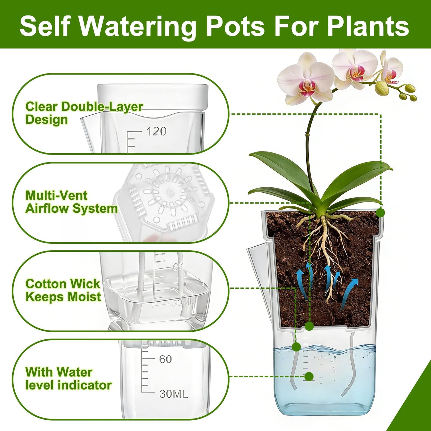 HITOSTAR 12 Pack 2 Inch Mini Clear Self Watering Pots for Indoor Plants, Small Plastic Planters with Drainage, Hydroponic Nursery Propagation Cups, for African Violet Alocasia Pot (2 Inch, 12Pack)