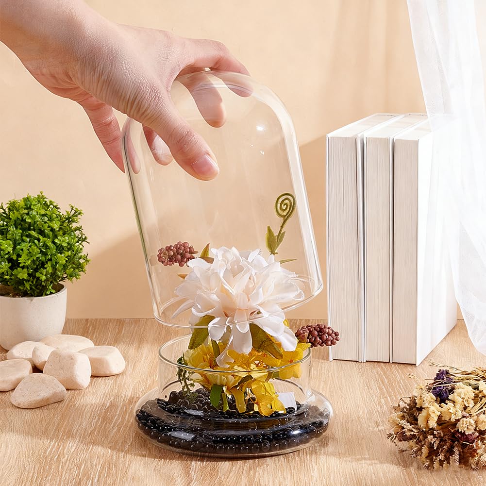 PH PandaHall Glass Display Dome Cloche 4.6x6.38inch Clear Terrarium Planter with Base Tabletop Display Terrarium for Indoor Plants Succulents Cactus Tabletop Home Decoration