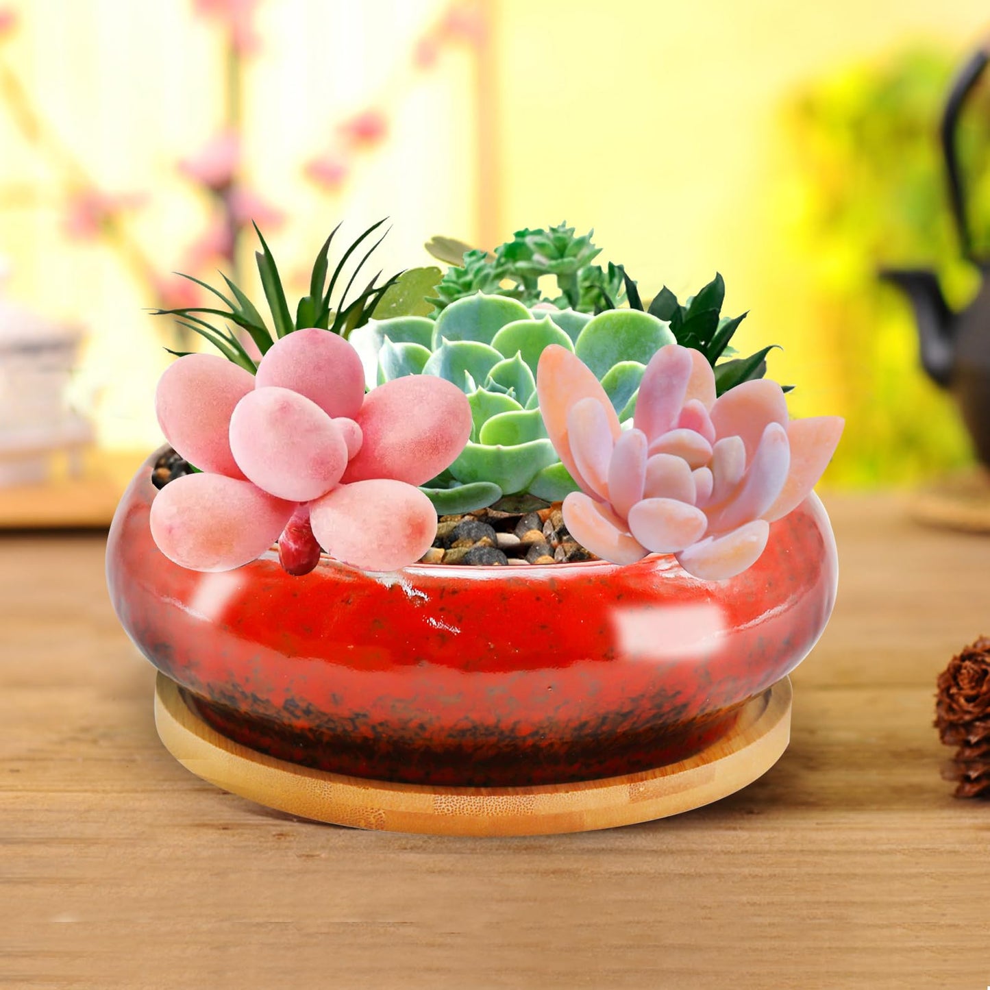 LIDSCURA 7.4 inch Ceramic Bonsai Pots with Trays Shallow Planters, Succulent Planters with Drainage Hole, Round Large Shallow Pots, Bonsai Pots Garden Decorative Cactus Stand Flower Container (Red)