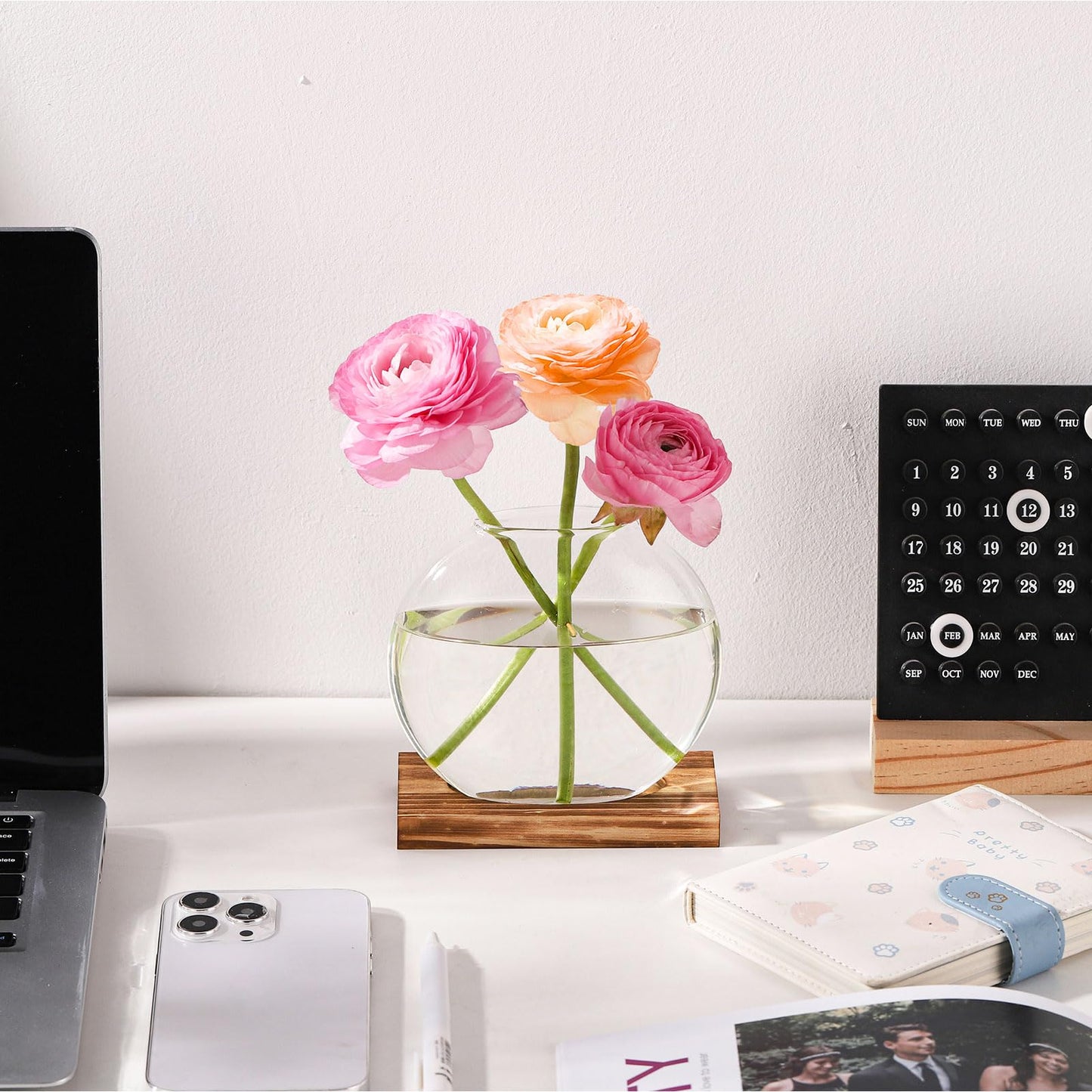 TkoYuHm 4 Pack Plant Propagation Station with Wooden Base Glass Terrariums for Indoor Plants Decorative Round Vases for Flowers Hydroponic Planter for Home Office Decor