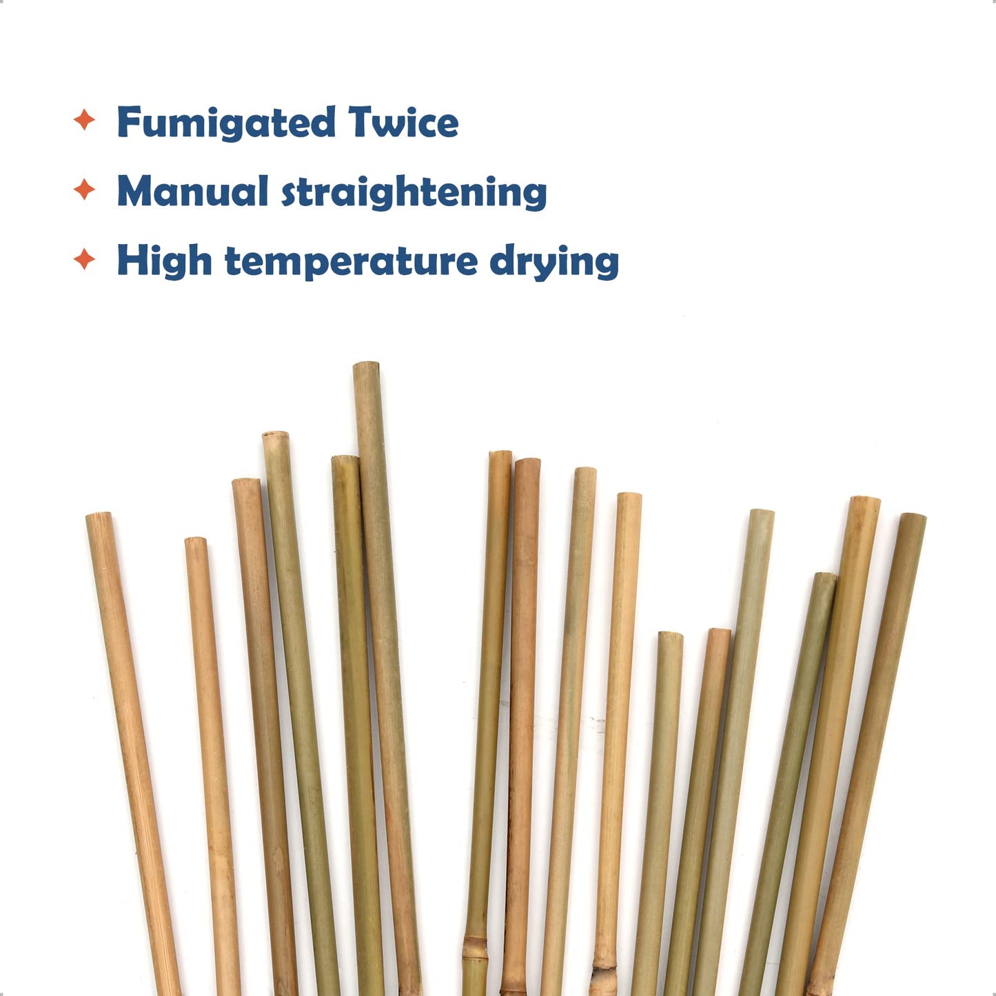 COLOtime Bamboo Stakes 6FT Garden Stakes Plant Stakes for Outdoor Climbing Plants Poles Support Mini Tree Vines Pole Beans Cucumber 20 Pack