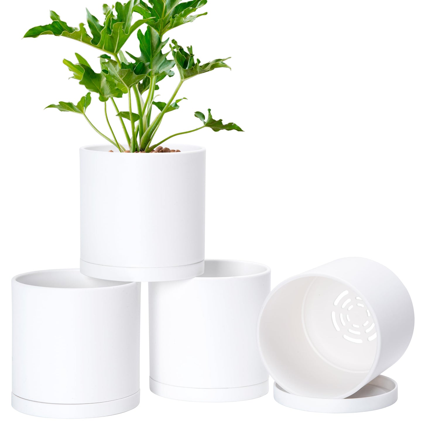 D'vine Dev 4 Pack 6 Inch Modern Plastic Plant Pots, Small Garden Planters for Plant with Drainage Holes and Saucers, White Color, 74-Z-J-2