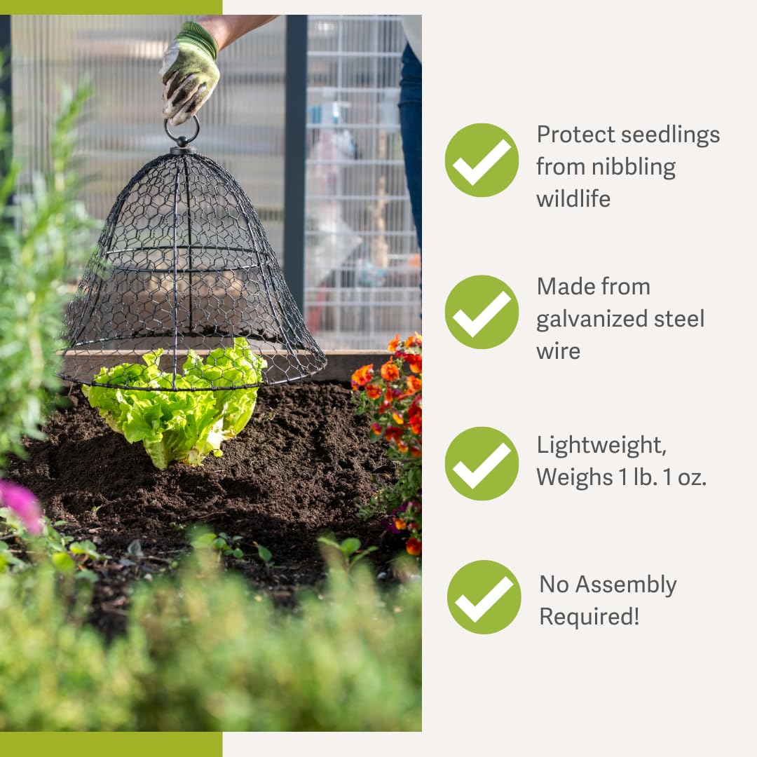Gardener’s Supply Company Sturdy Chicken Wire Cloche Plant Protector Cover | Sturdy Metal Cage Garden Protection for Your Plants & Seedlings | 16" in Diameter x 12-1/2" H - Black