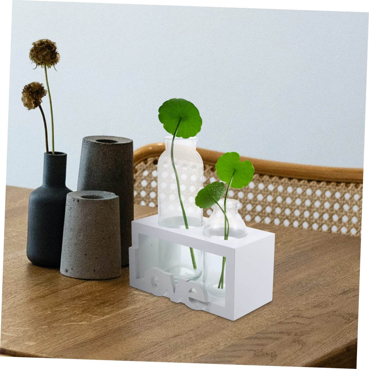 VICASKY Glass Terrarium Vase with Wooden Stand for Hydroponic Plants Modern Desktop Decoration Indoor Water Planter for Flower Arrangements Stylish Home Decor