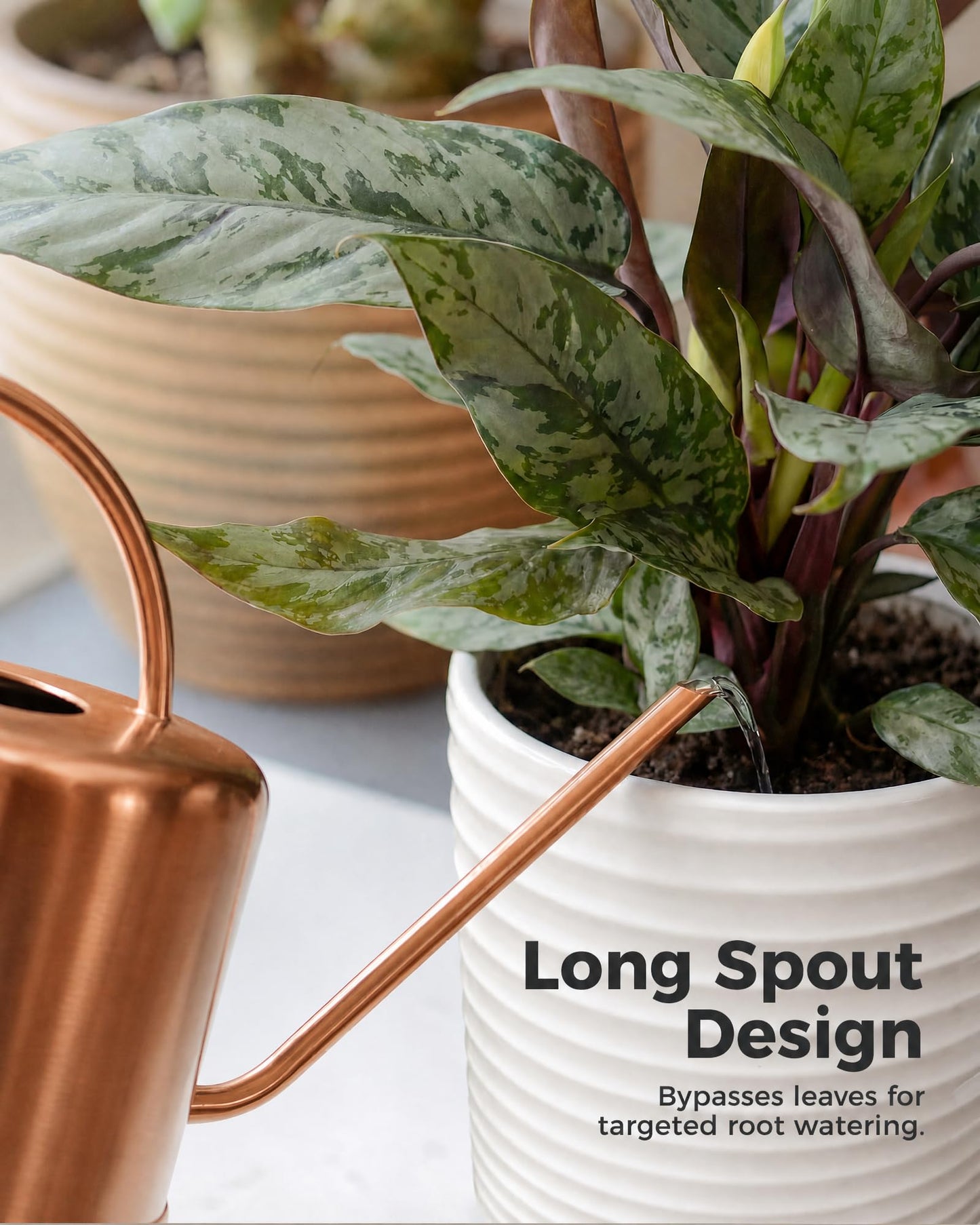 Bamworld Metal Watering Can Indoor Plants 1L 33oz Gold Stainless Steel Watering Can with Long Spout for House Potted Plants Succulents Bonsai Garden Flowers