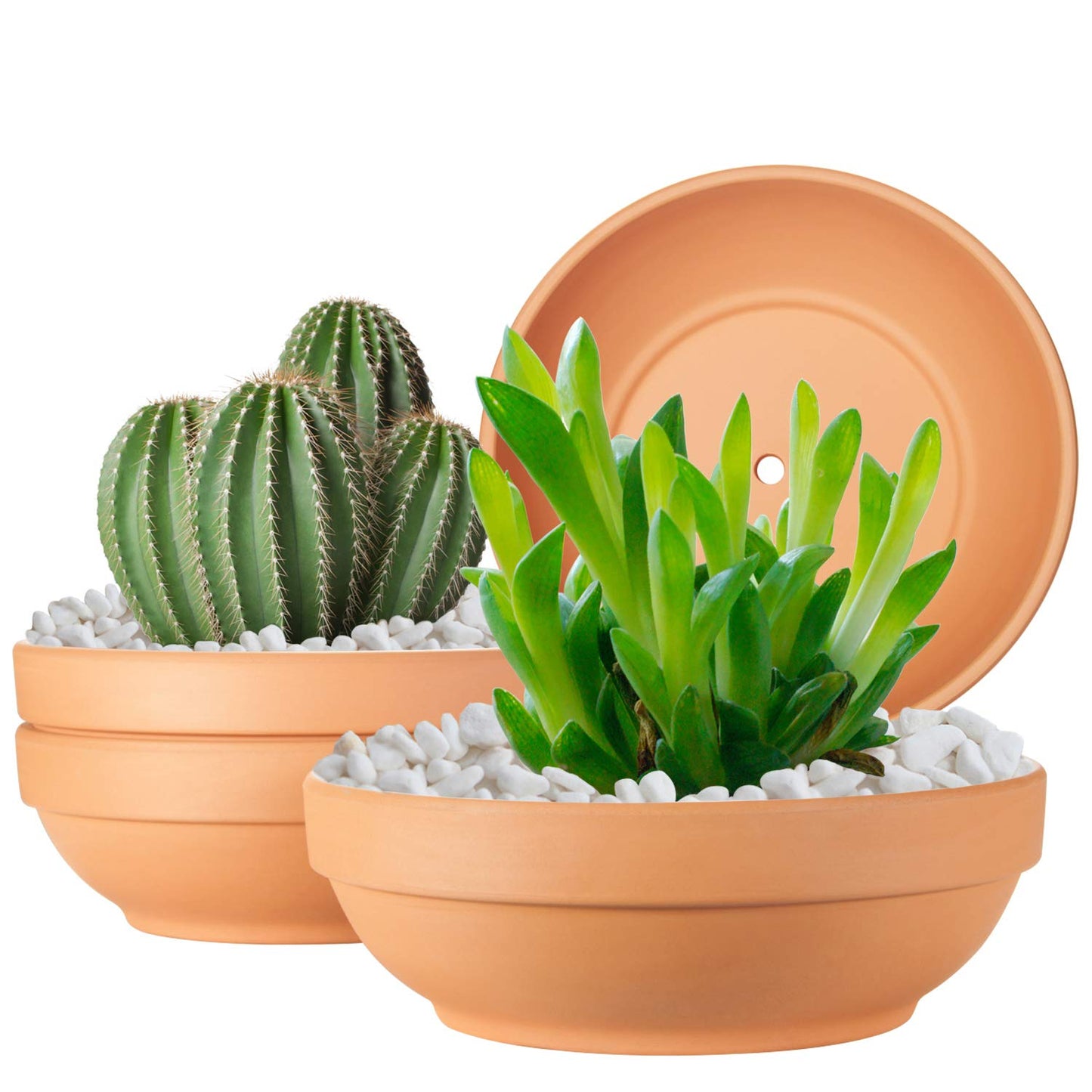 Laerjin Clay Pots for Plants with Drainage Hole, 4 Pack Large Terra Cotta Plant Pot, 7.67 Inch Terracotta Pot Ceramic Pottery Planter Cactus Flower Pots