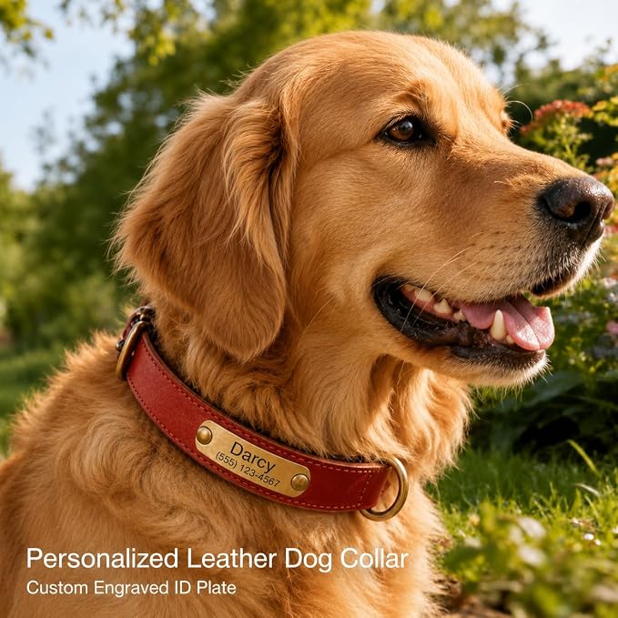 Leather Dog Collar Personalised and Leash Set, Personalized with Soft Padded Design Heavy Duty Featuring Custom Engraved Name Plate for Small Medium and Large Dogs