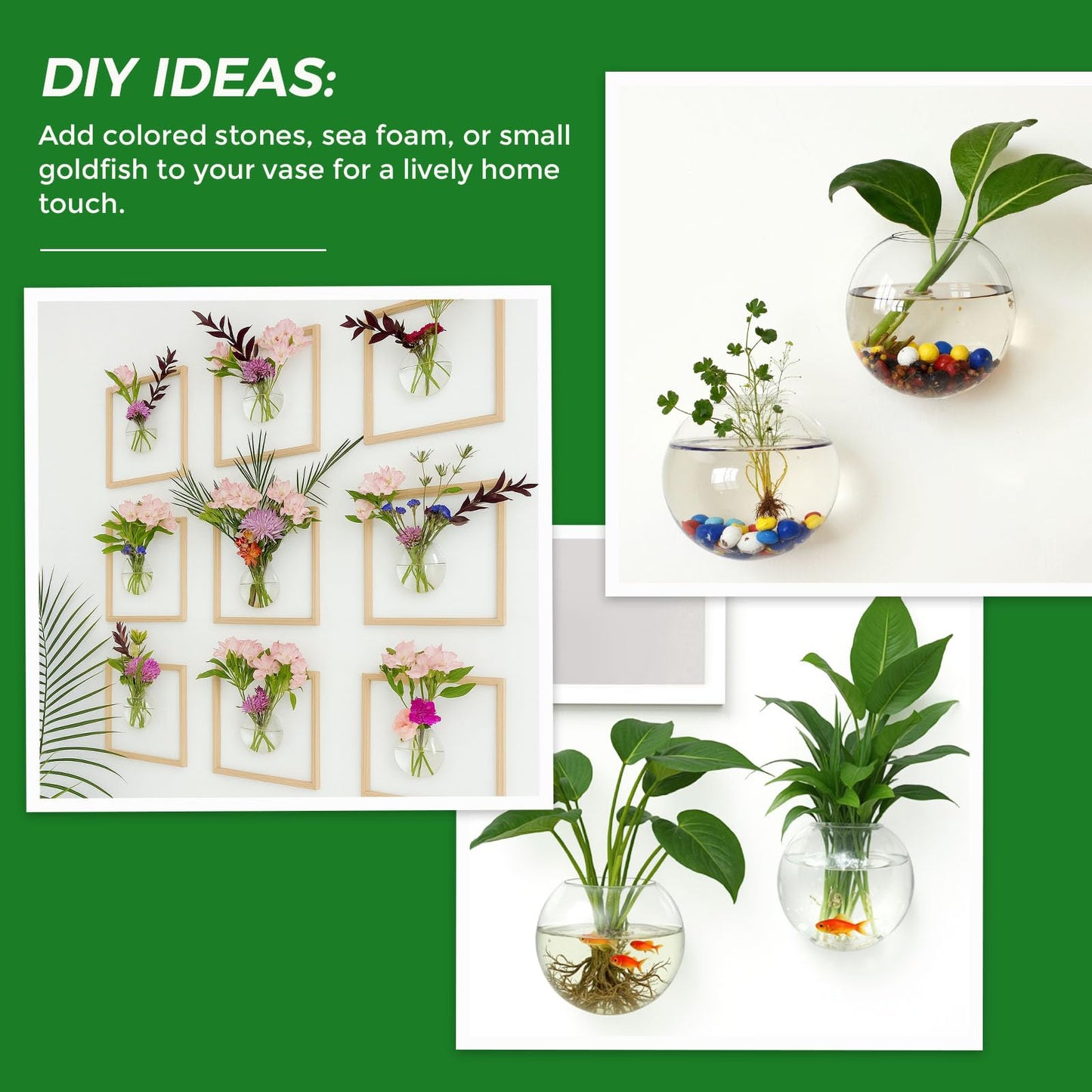 DomeStar 2PCS Wall Flower Vases, Wall Hanging Glass Planter Propagation Station Mounted Vases for Hydroponics Plants Propagation Living Room Office Home Decor (5 inch)