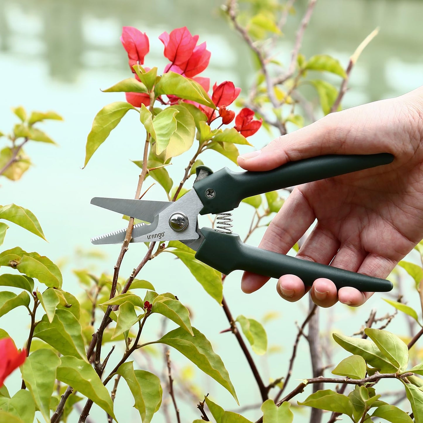 LIVINGO 7.5 Inch Garden Pruning Shears Set, Stainless Steel Straight & Curved Blades with Spring Lock, Hand Pruners for Trimming Plants, Flowers, Herbs and Small Branches