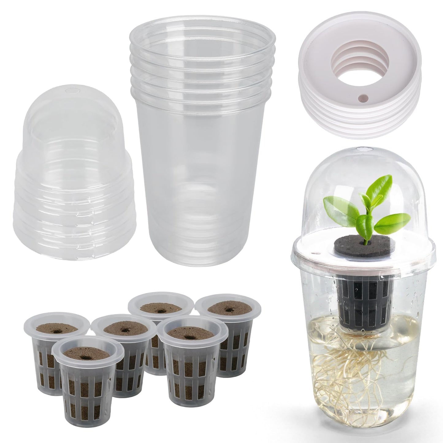 6 Pack Clear Hydroponic Nursery Kit, Transparent Plant Starter Hydroponic Pots for Seed Starting, Hydroponic System for Nursery