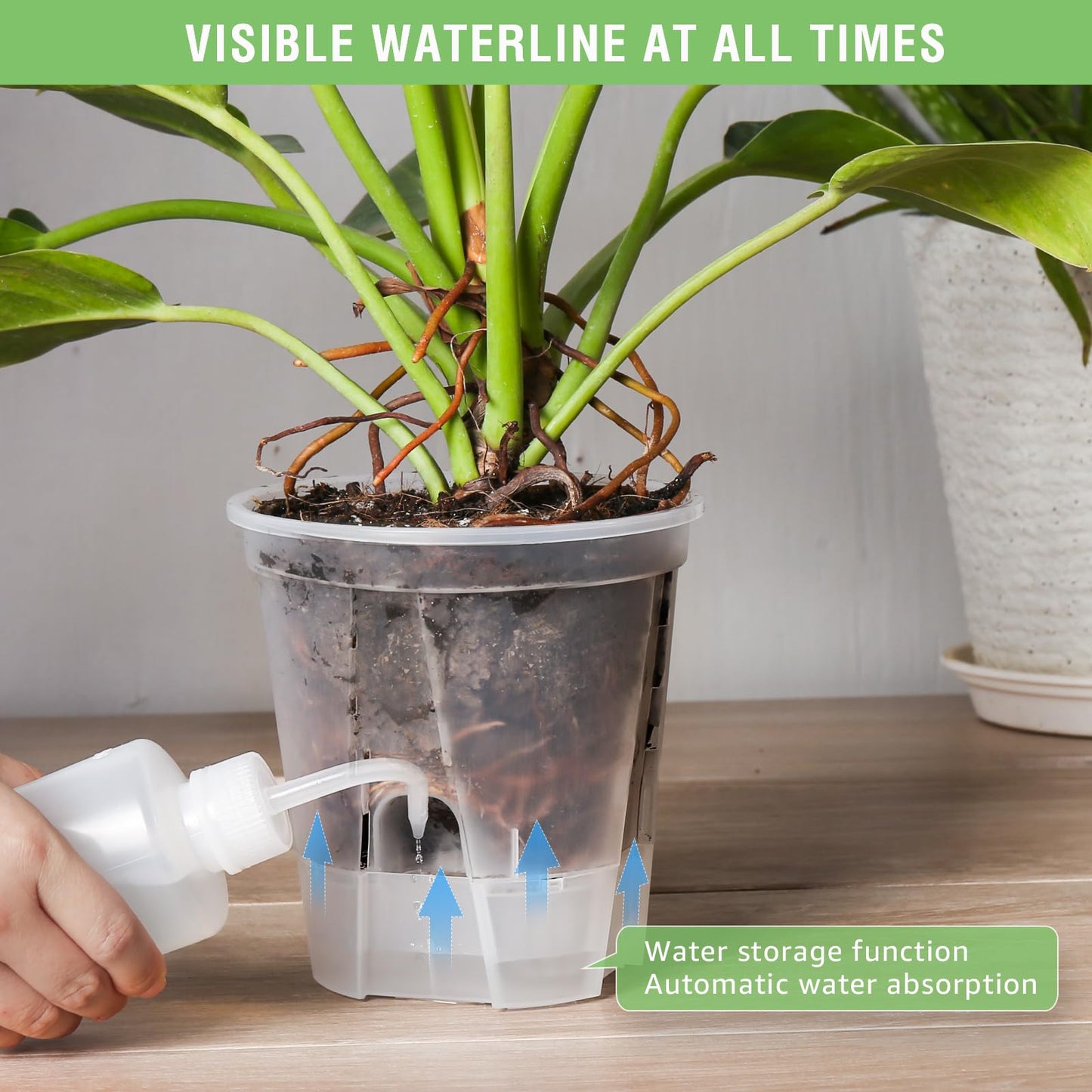 GREENPARA 5-Inch Self-Watering Plant Pots - 10-Pack Clear Plastic Planter with Deep Reservoir, Drainage Holes for Indoor Outdoor Gardens, Herbs, Succulents, and Flowers