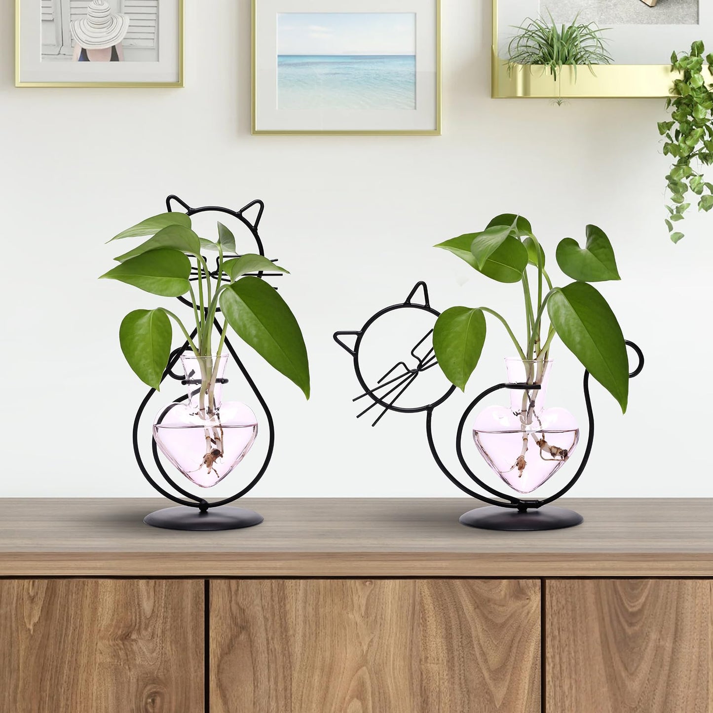 Plant Terrarium Plants Propagation Station Cat Lover Gifts for Women Home Office Decor Cat Desk Accessories