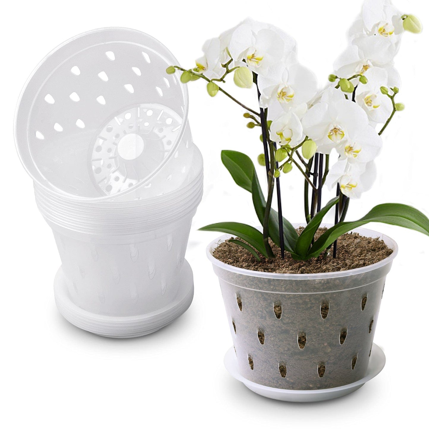lanccona Orchid Pot, 7 Inch 8 Pack Orchid Pots with Holes and Saucers, Clear Plastic Plant Pot Indoor