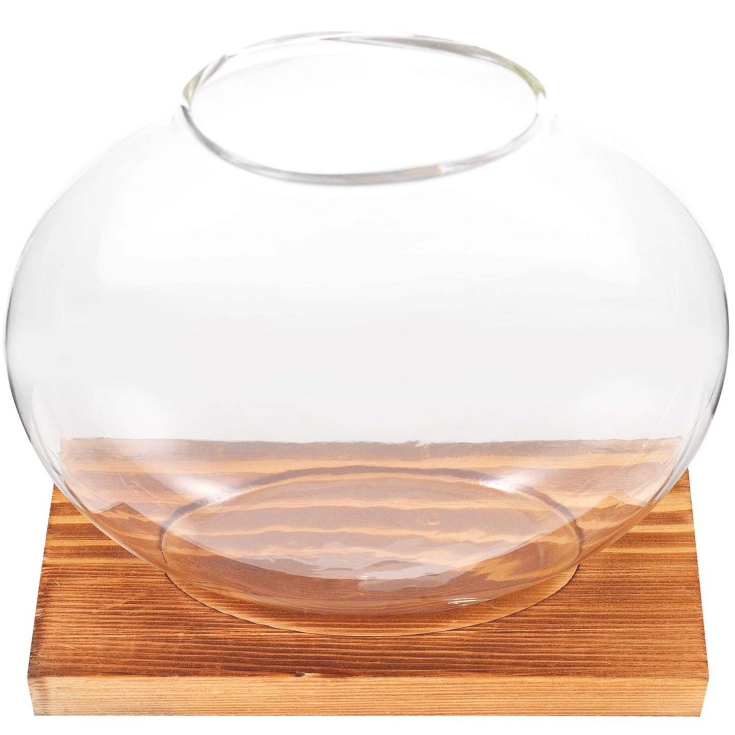 TOKIDNY Glass Plant Vase with Retro Wooden Base for Hydroponic Green Vine Propagation, Home and Office Decorative Flower Bottle Terrarium, Desktop Hydroponic Planter for Living Room
