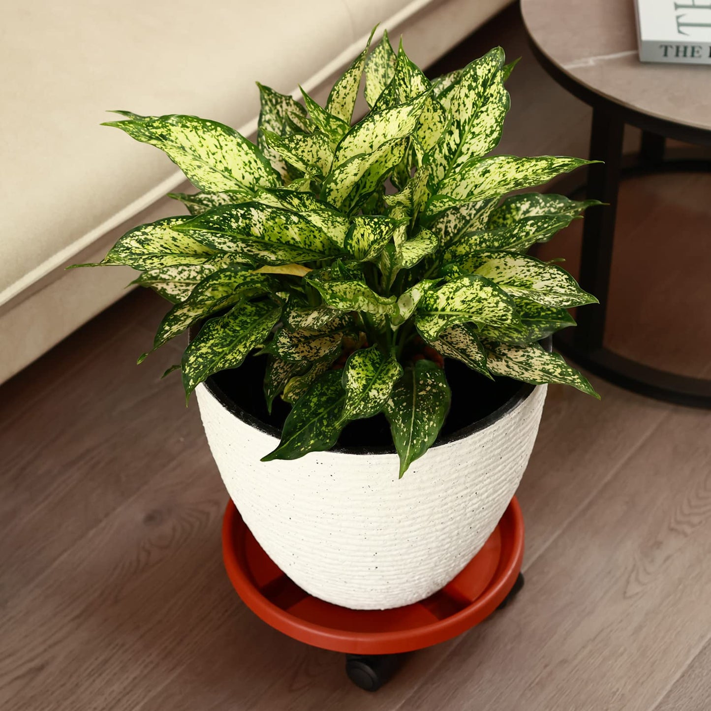 3 Packs Large Plant Caddy with Wheels 13" Rolling Plant Stands Heavy-duty Plastic Plant Roller Base Pot Movers Plant Saucer on Wheels Indoor Outdoor Plant Dolly with Casters Planter Tray Coaster