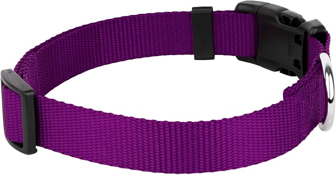 Country Brook Petz - Everyday Nylon Dog Collar and Leash - 10+ Cool Colors (3/4 Inch, Medium, Purple)