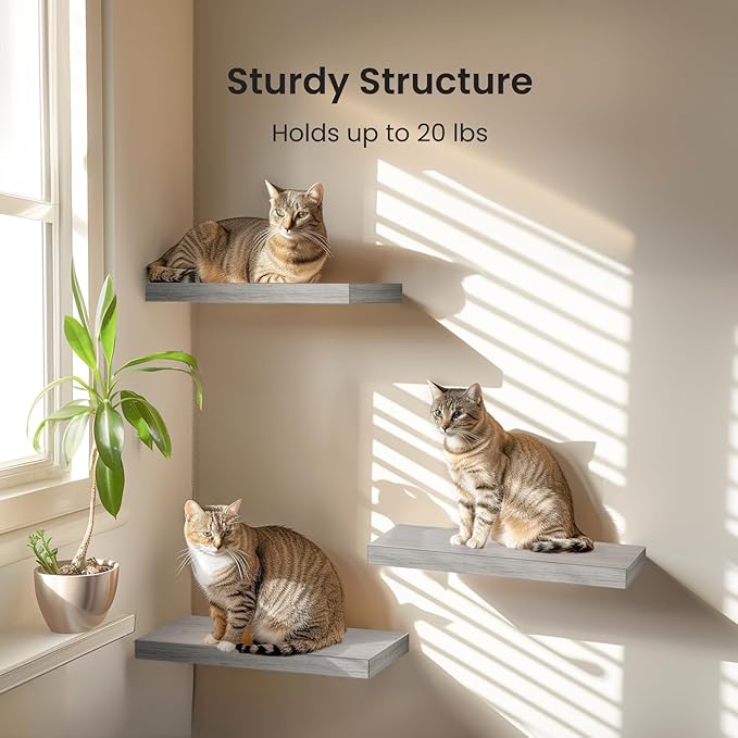 AMADA HOMEFURNISHING Floating Shelves, Wall Shelves